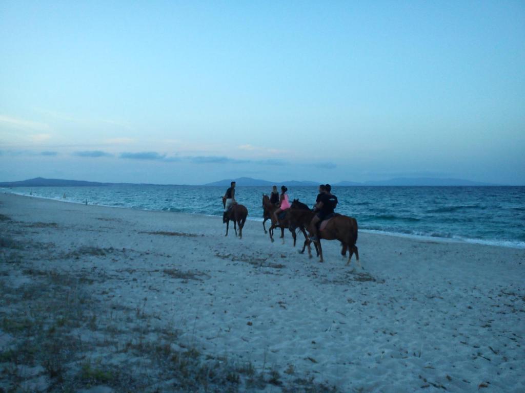 Casa de Campo Ezzi Mannu Stintino